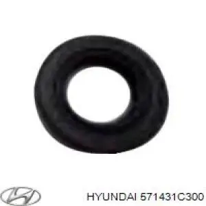 Vedação de bomba da Direção hidrâulica assistida do volante Hyundai/Kia 571431C300 preço, a partir de  USD