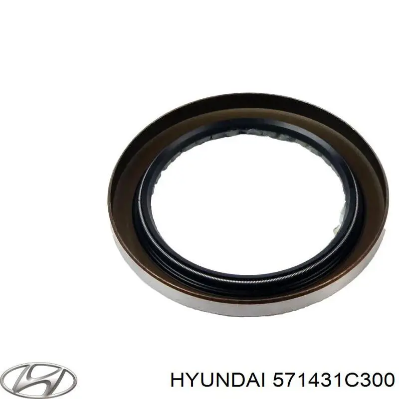 Compre 571431C300 Hyundai/Kia Vedação de bomba da Direção hidrâulica assistida do volante