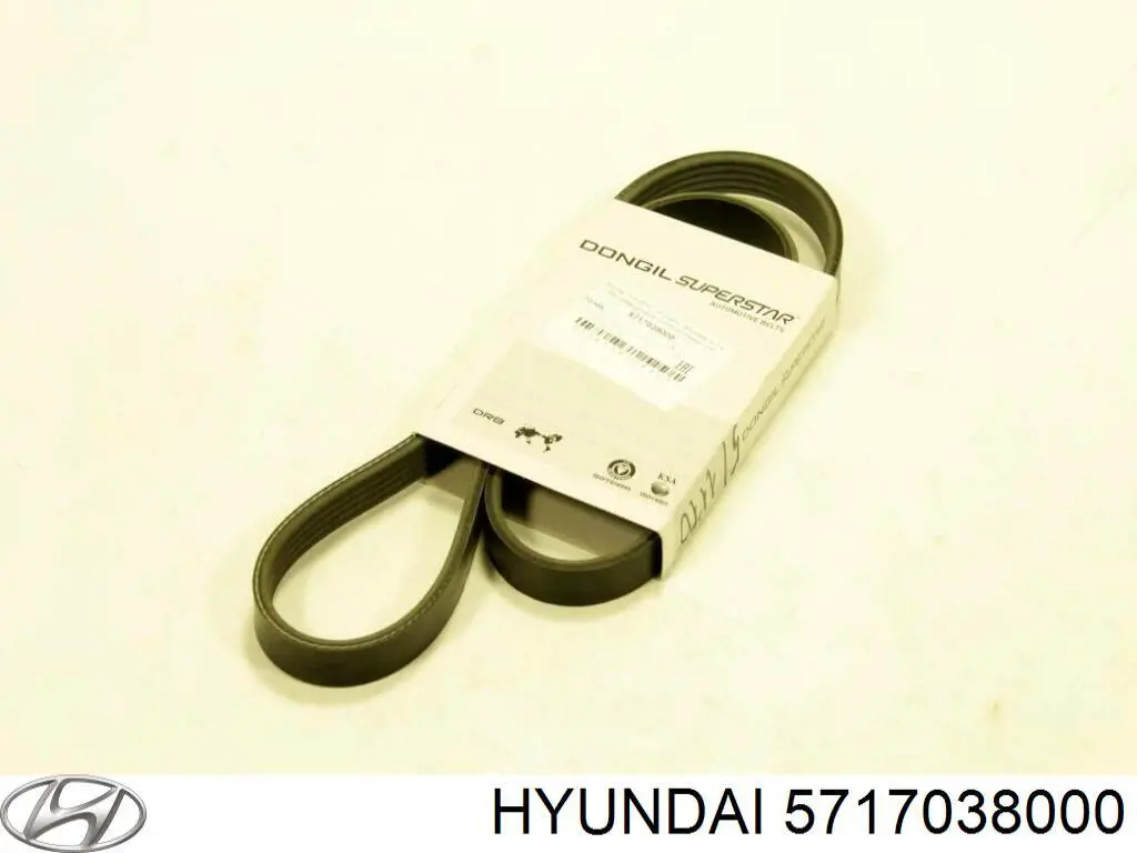 5717038000 Hyundai/Kia Correia dos conjuntos de transmissão