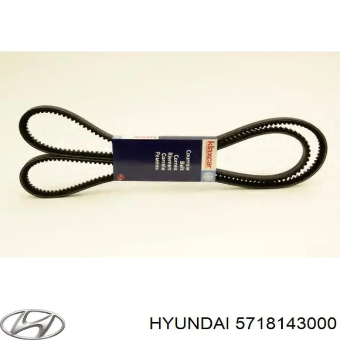 5718143000 Hyundai/Kia Correia dos conjuntos de transmissão