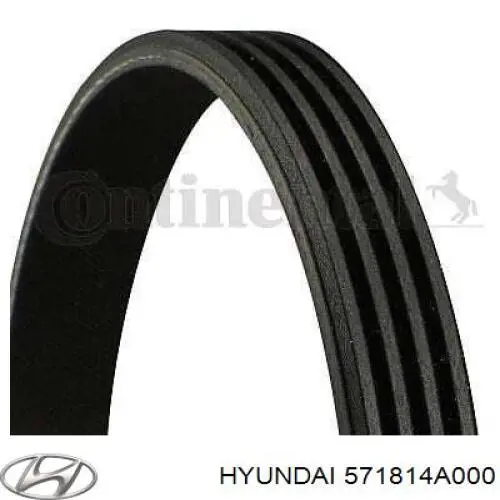 Correia dos conjuntos de transmissão Hyundai/Kia 571814A000 preço, a partir de 11,32 USD