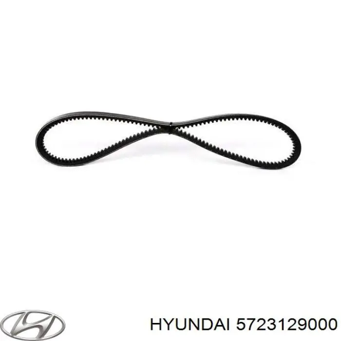 Compre 5723129000 Hyundai/Kia Correia dos conjuntos de transmissão
