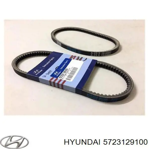 Correia dos conjuntos de transmissão Hyundai/Kia 5723129100 preço, a partir de 6,61 USD