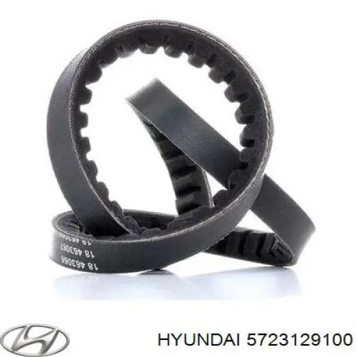 Compre 5723129100 Hyundai/Kia Correia dos conjuntos de transmissão