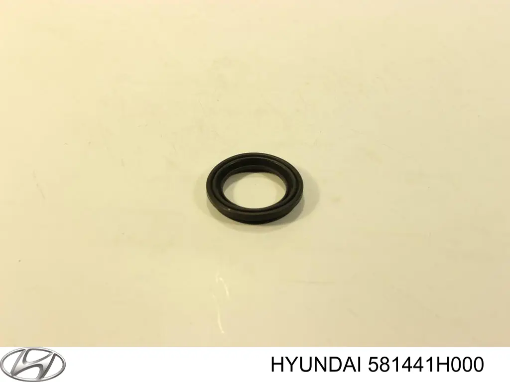 581441H000 Hyundai/Kia Kit de molas de fixação de sapatas de disco dianteiras