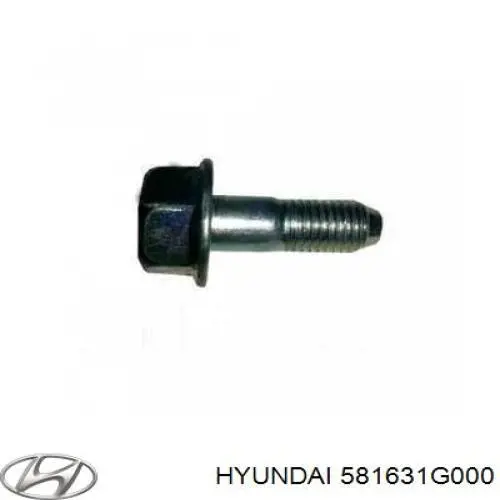 581631G000 Hyundai/Kia Kit de reparação de suporte do freio dianteiro