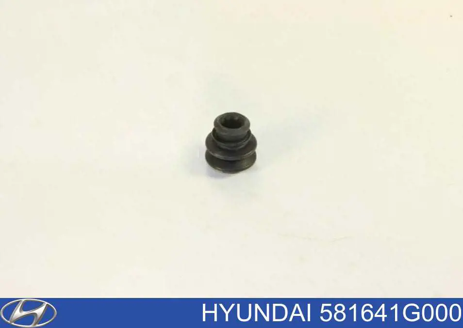 Bota de proteção de suporte guia do freio dianteiro Hyundai/Kia 581641G000 preço, a partir de 6,64 USD