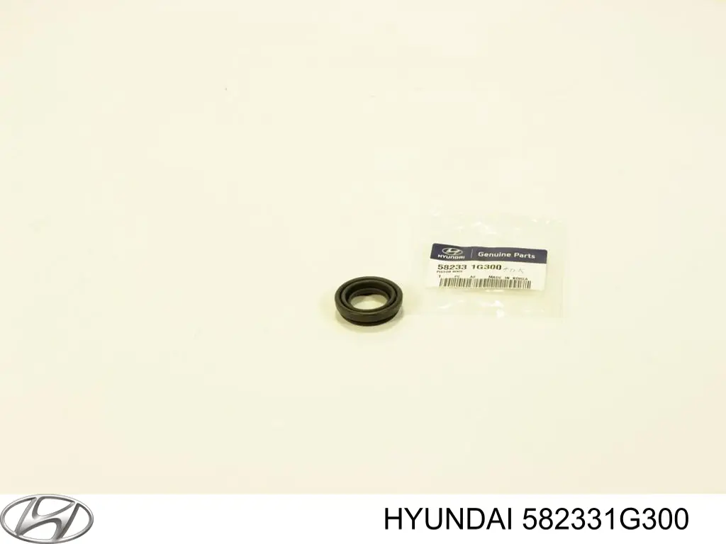 582331G300 Hyundai/Kia Kit de reparação de suporte do freio traseiro