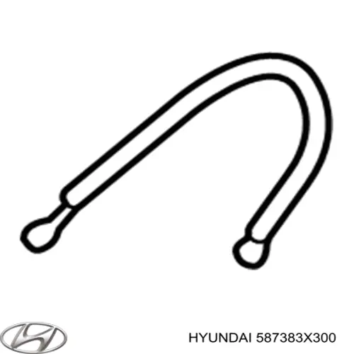 587383X300 Hyundai/Kia Mangueira do freio traseira direita