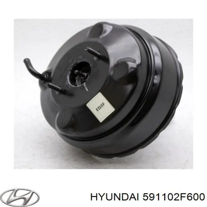 591102F600 Hyundai/Kia Reforçador dos freios a vácuo