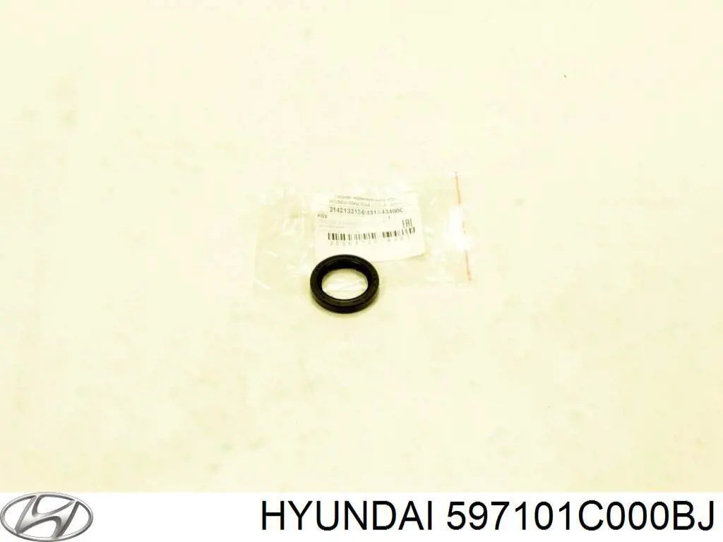 597101C000BJ Hyundai/Kia Avalanca do freio de estacionamento