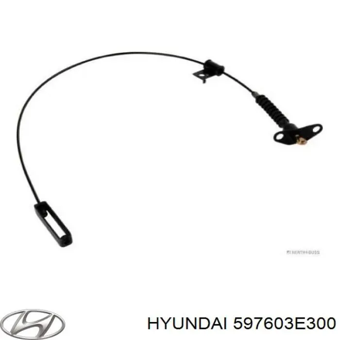597603E300 Hyundai/Kia Cabo do freio de estacionamento traseiro esquerdo