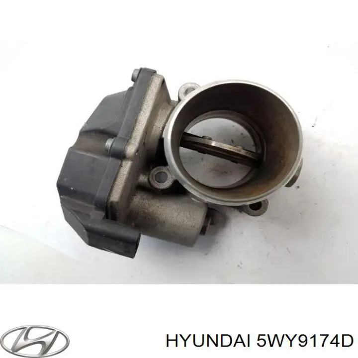 5WY9174D Hyundai/Kia Válvula de borboleta montada