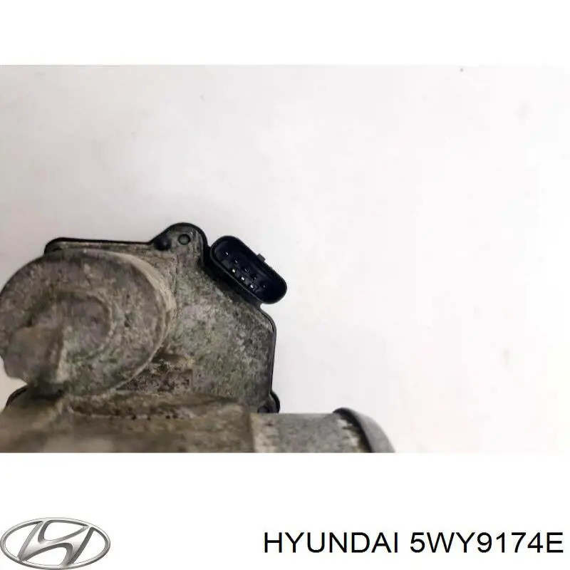 Compre 5WY9174E Hyundai/Kia Válvula de borboleta montada