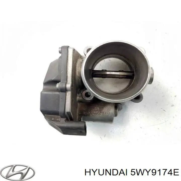 5WY9174E Hyundai/Kia Válvula de borboleta montada