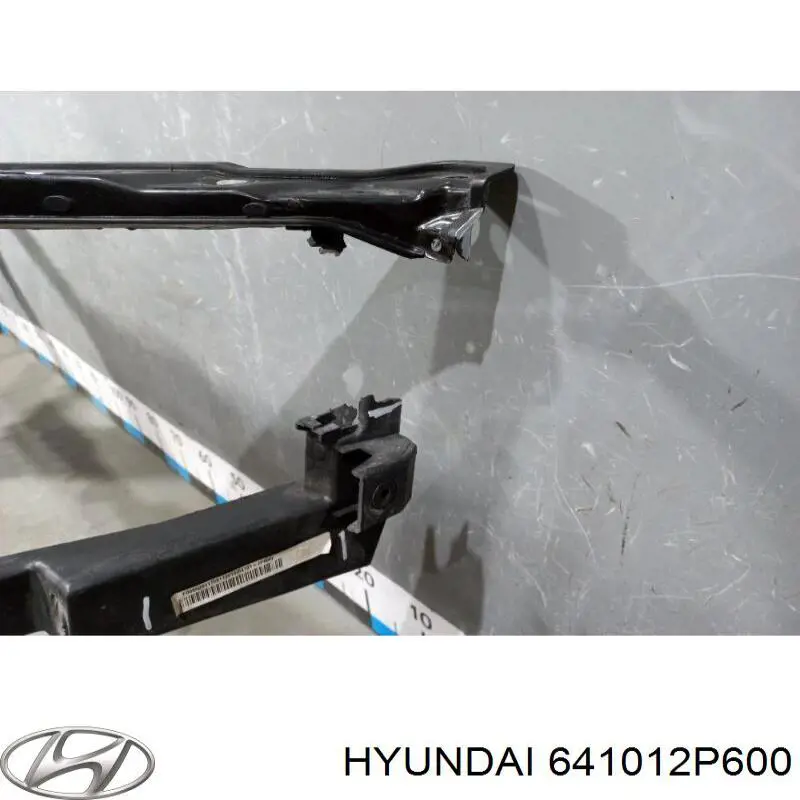  Hyundai/Kia 641012P600