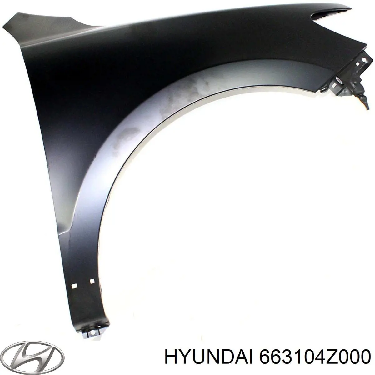 663104Z000 Hyundai/Kia Pára-lama dianteiro esquerdo