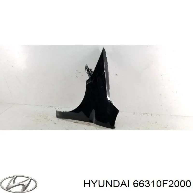 66310F2000 Hyundai/Kia Pára-lama dianteiro esquerdo