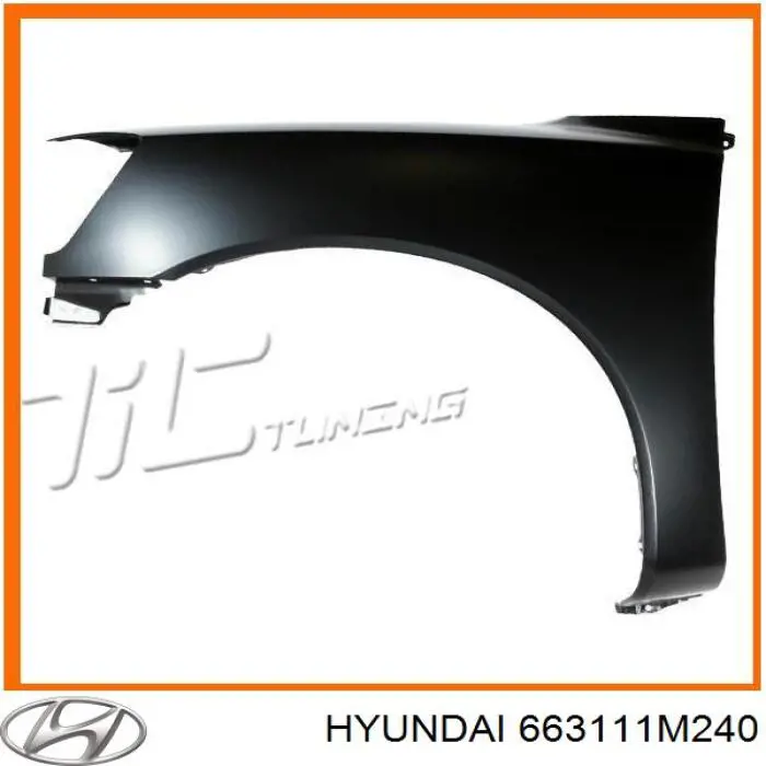 Pára-lama dianteiro esquerdo Hyundai/Kia 663111M240