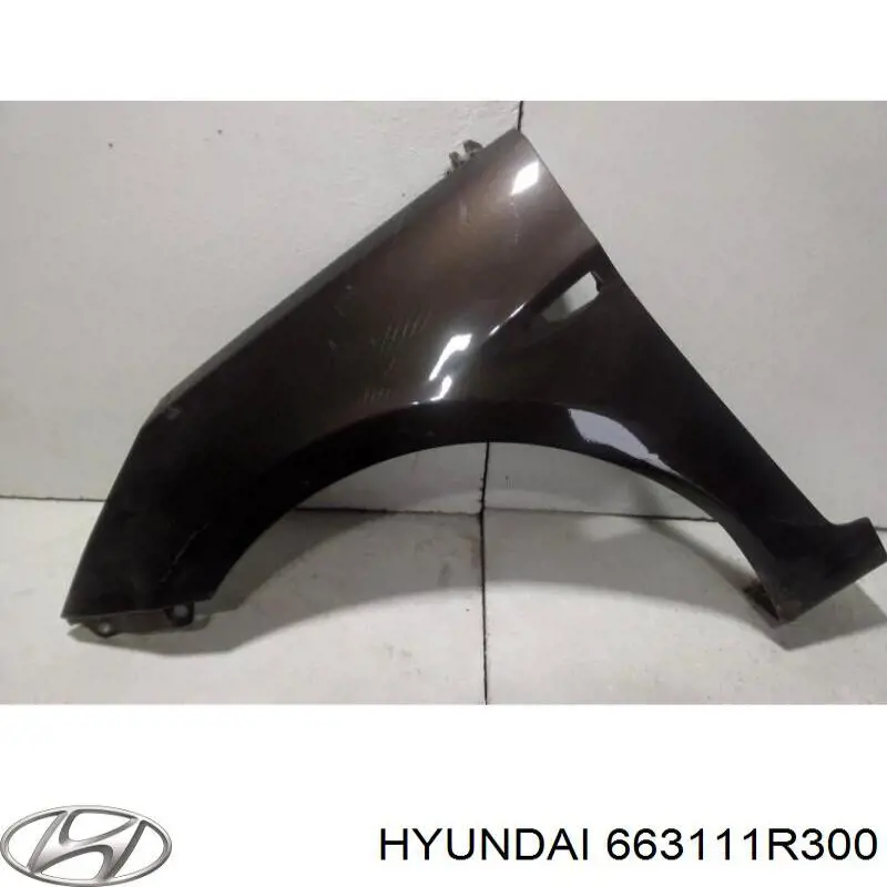 Pára-lama dianteiro esquerdo Hyundai/Kia 663111R300 preço, a partir de 381,33 USD