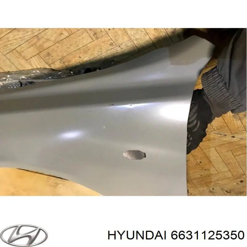 Compre 6631125350 Hyundai/Kia Pára-lama dianteiro esquerdo