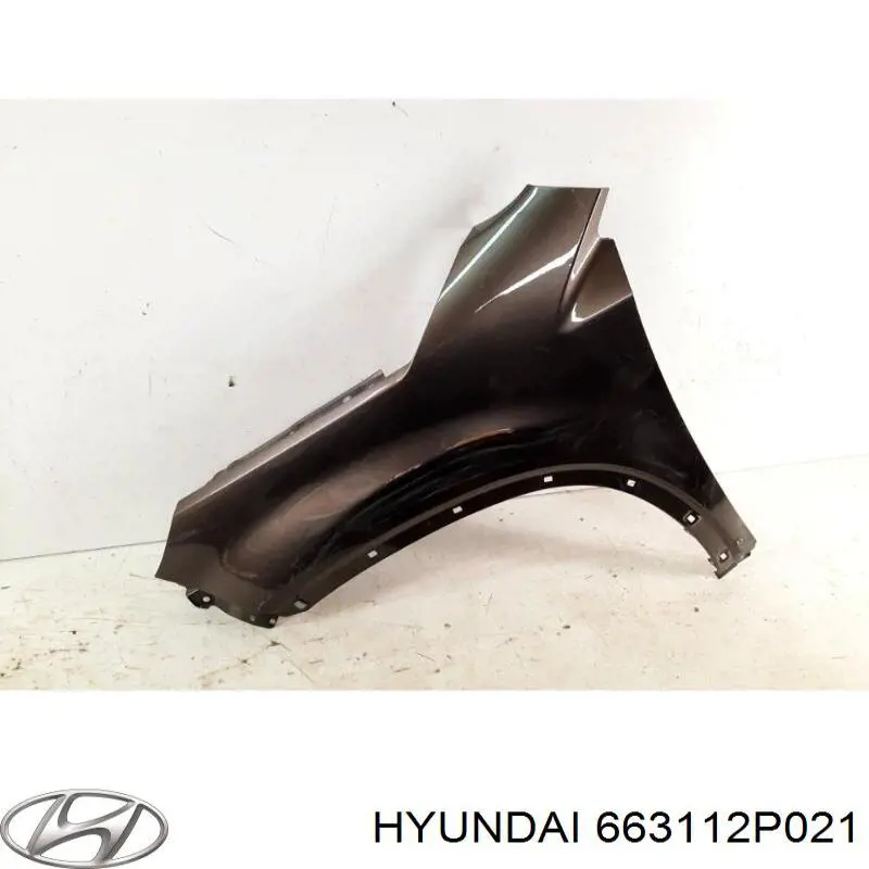 663112P021 Hyundai/Kia Pára-lama dianteiro esquerdo