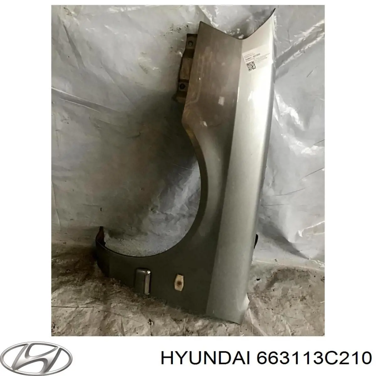 663113C210 Hyundai/Kia Pára-lama dianteiro esquerdo