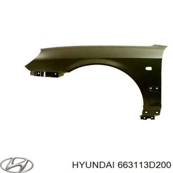 663113D200 Hyundai/Kia Pára-lama dianteiro esquerdo