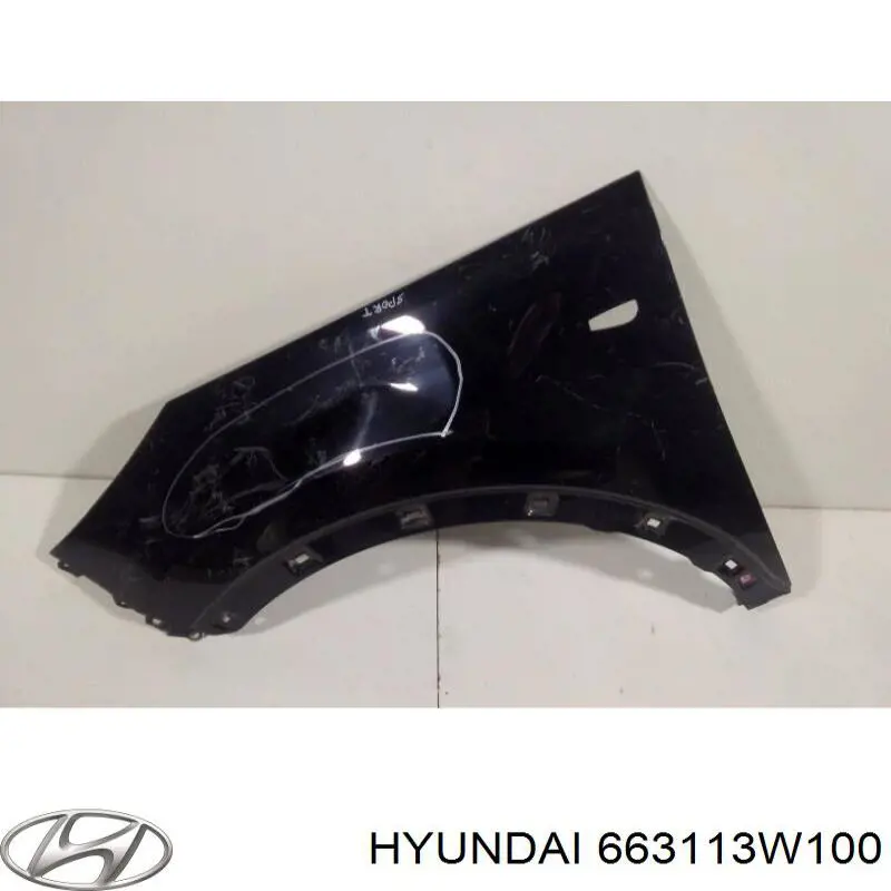 Pára-lama dianteiro esquerdo Hyundai/Kia 663113W100 preço, a partir de 76,61 USD