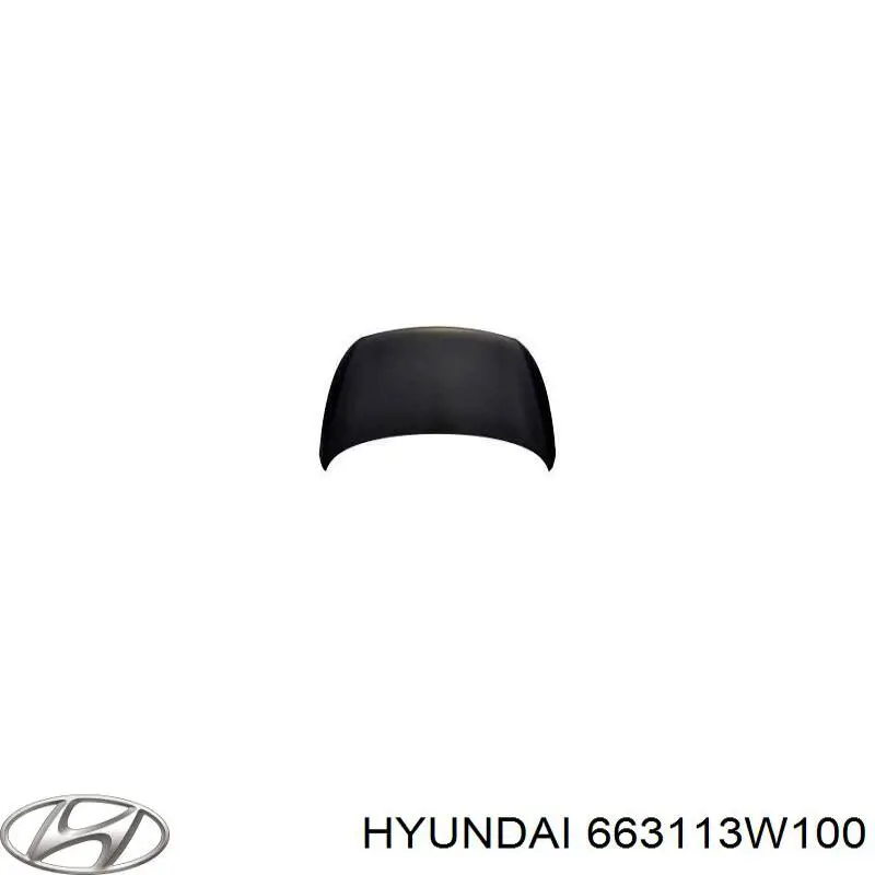 663113W100 Hyundai/Kia Pára-lama dianteiro esquerdo