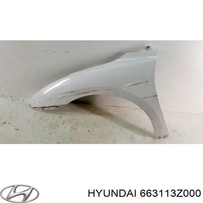 Pára-lama dianteiro esquerdo Hyundai/Kia 663113Z000 preço, a partir de 203,03 USD