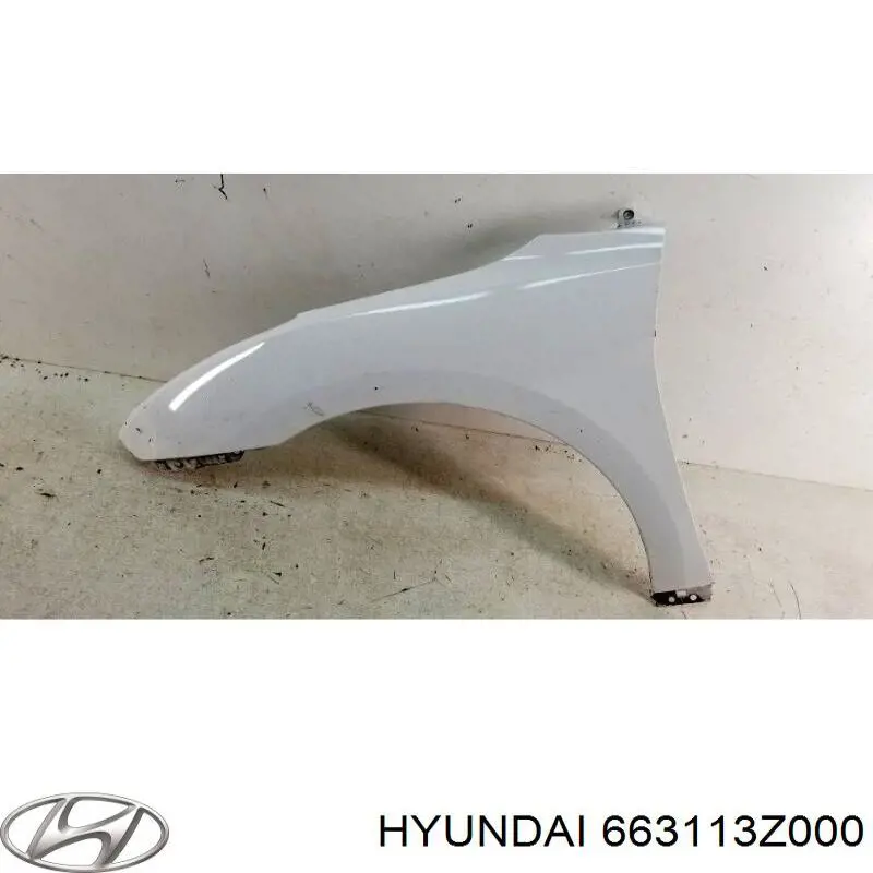 663113Z000 Hyundai/Kia Pára-lama dianteiro esquerdo