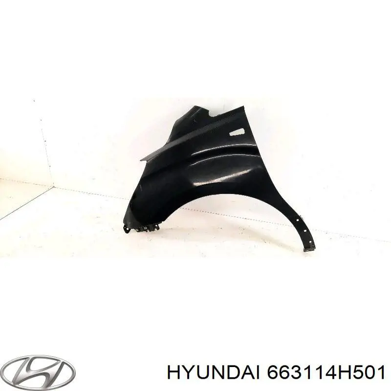 Pára-lama dianteiro esquerdo Hyundai H-1 STAREX Starex TQ