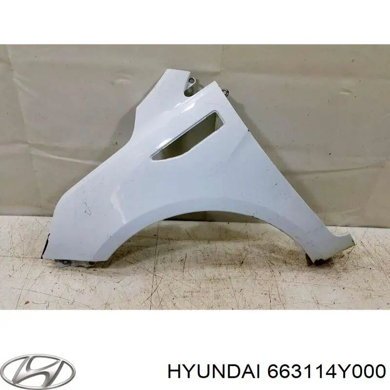 Pára-lama dianteiro esquerdo Hyundai/Kia 663114Y000 preço, a partir de 67,35 USD
