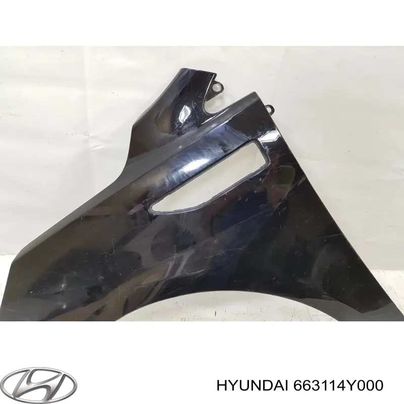 Hyundai/Kia 663114Y000