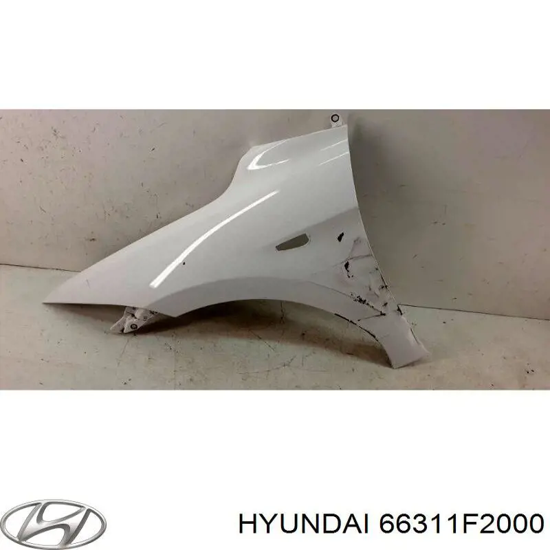 66311F2000 Hyundai/Kia Pára-lama dianteiro esquerdo