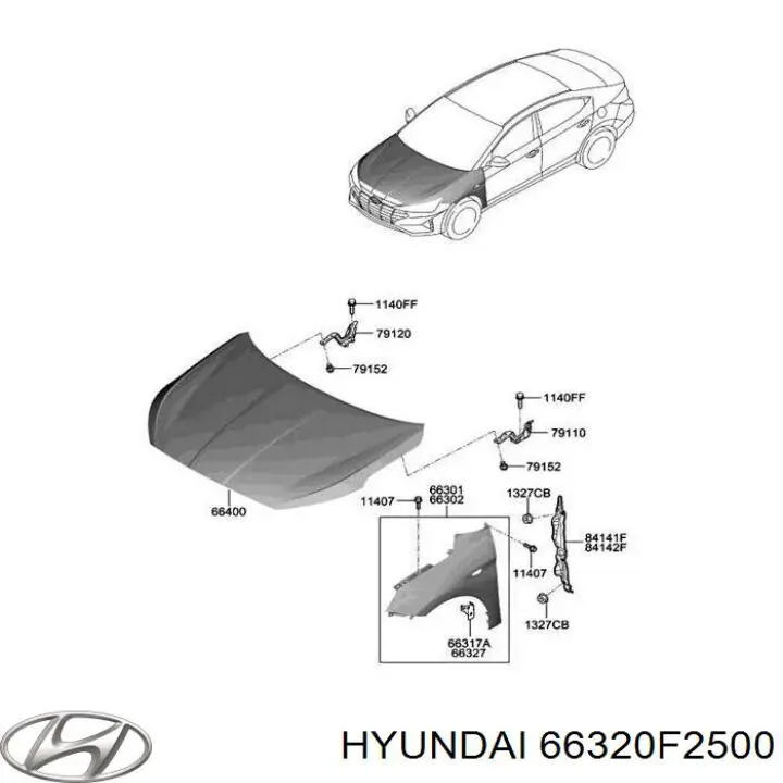 66320F2500 Hyundai/Kia Pára-lama dianteiro direito