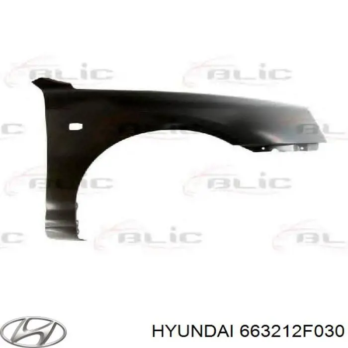 663212F030 Hyundai/Kia Pára-lama dianteiro direito
