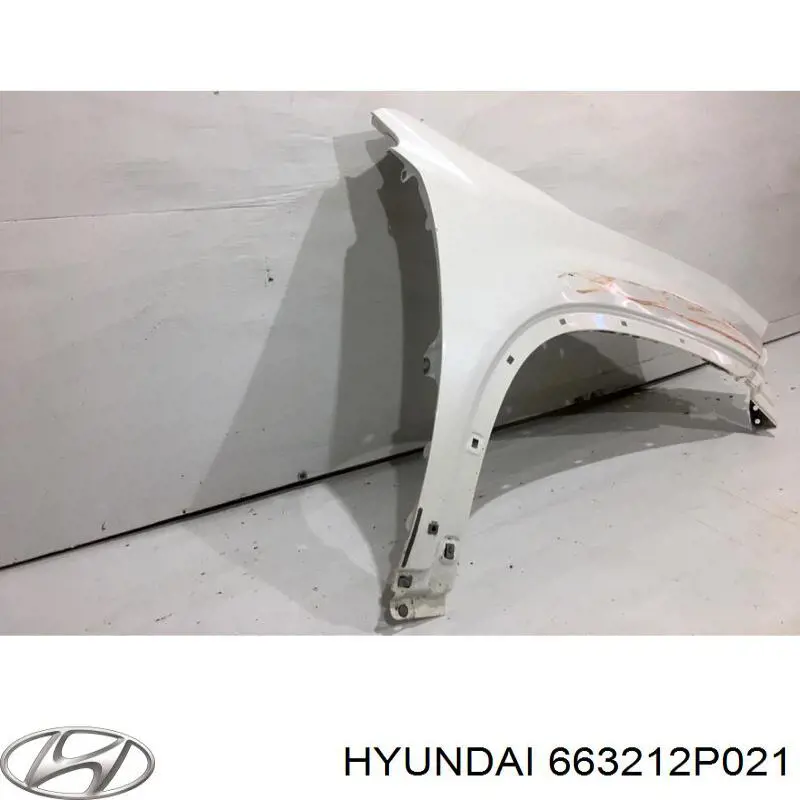 Compre 663212P021 Hyundai/Kia Pára-lama dianteiro direito