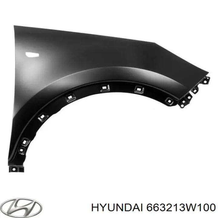 663213W100 Hyundai/Kia Pára-lama dianteiro direito