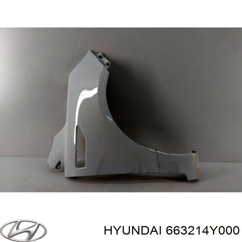 663214Y000 Hyundai/Kia Pára-lama dianteiro direito