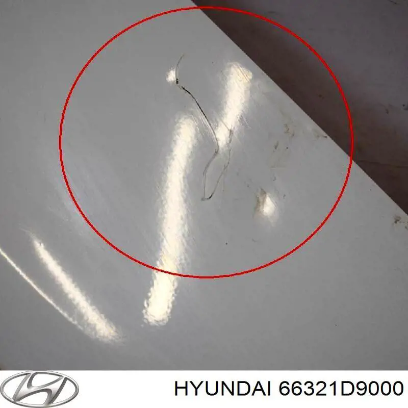 66321D9000 Hyundai/Kia Pára-lama dianteiro direito