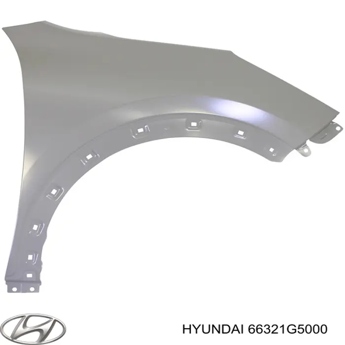 66321G5000 Hyundai/Kia Pára-lama dianteiro direito