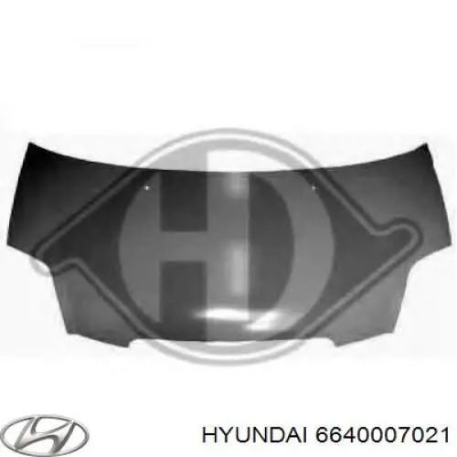 6640007021 Hyundai/Kia Capota
