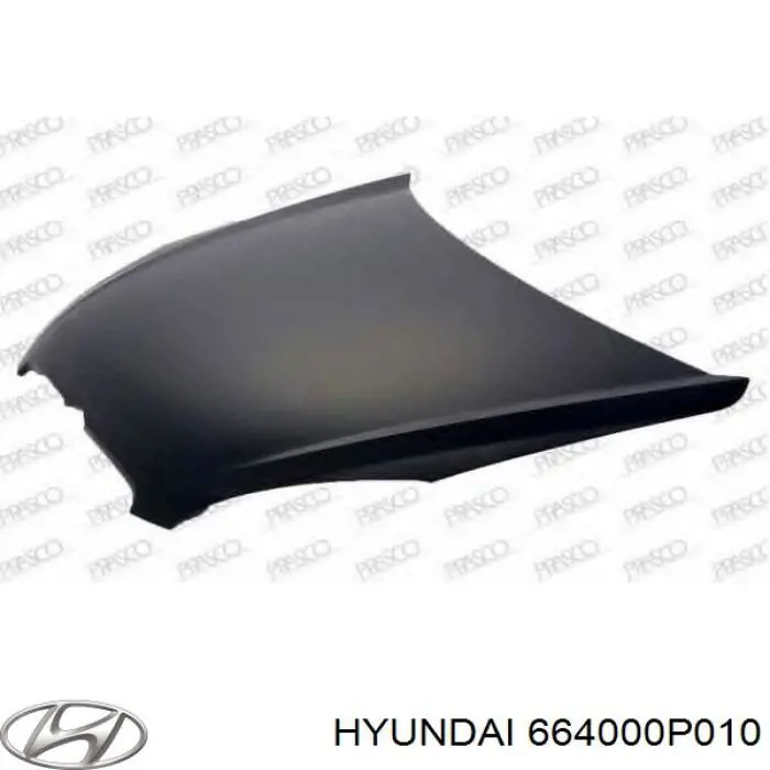 664000P010 Hyundai/Kia Capota
