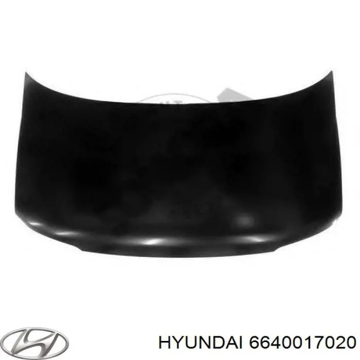 6640017020 Hyundai/Kia Capota