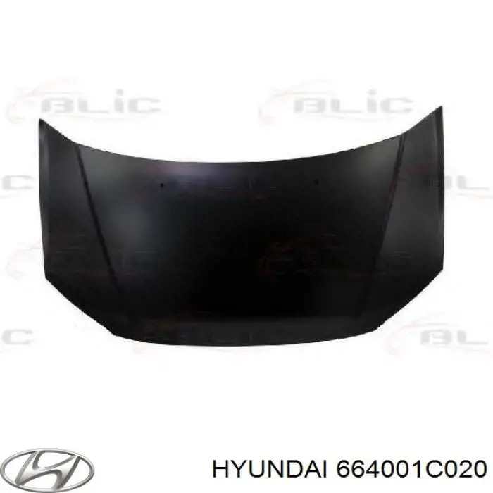 664001C020 Hyundai/Kia Capota