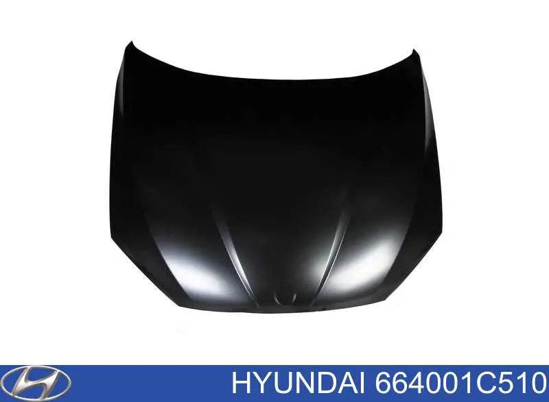 664001C510 Hyundai/Kia Capota