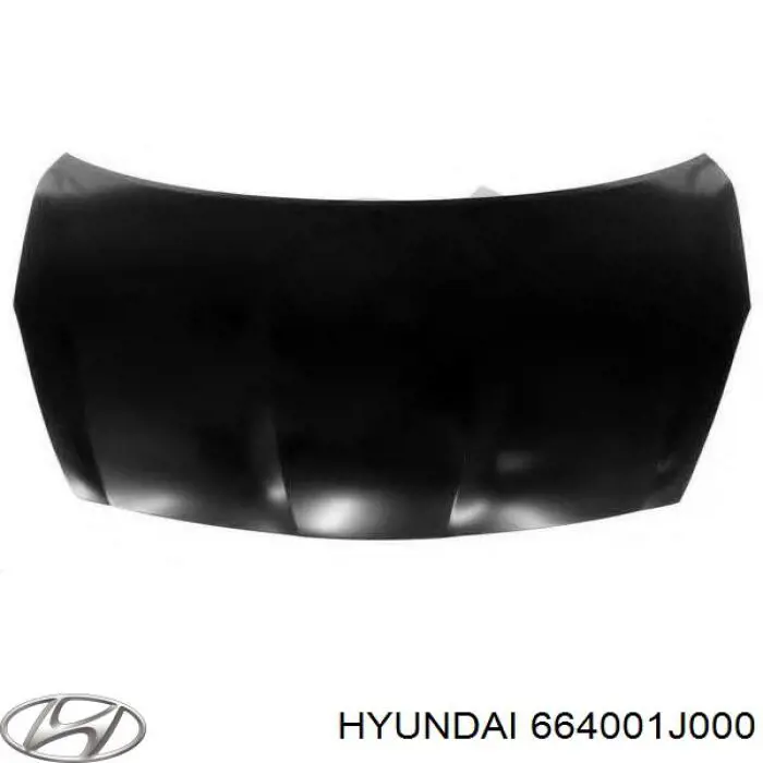 664001J000 Hyundai/Kia Capota