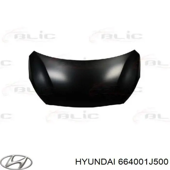 664001J500 Hyundai/Kia Capota